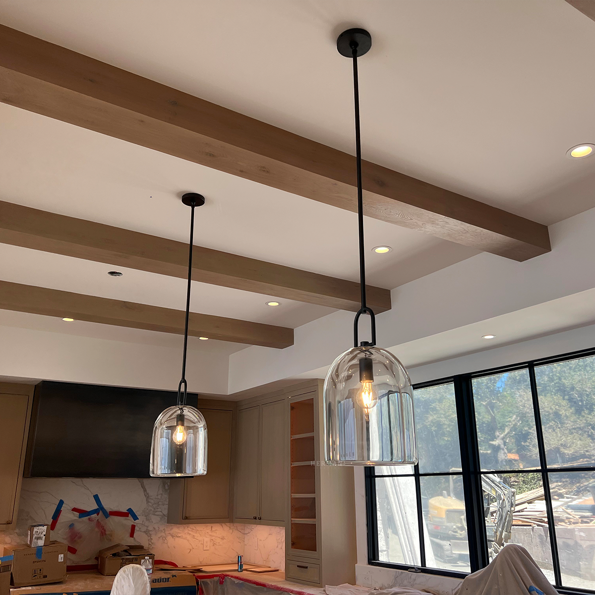 Botany Glass Cloche Pendant