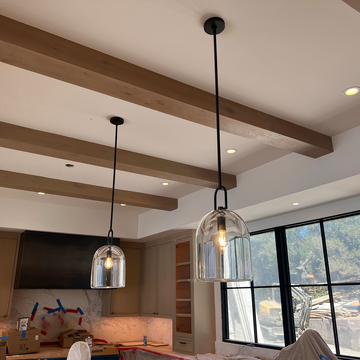 Botany Glass Cloche Pendant